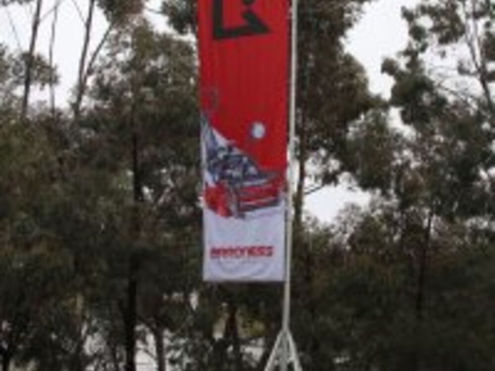 Advertising Flags Thumbnail