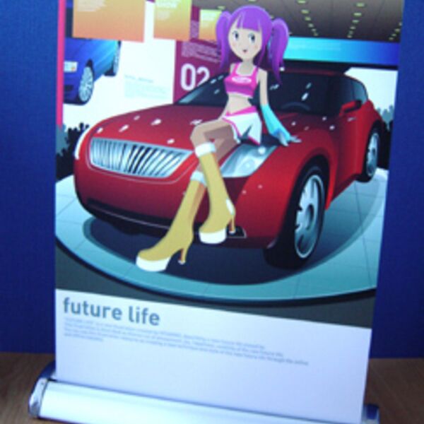 Mini Retractable Vinyl Thumbnail